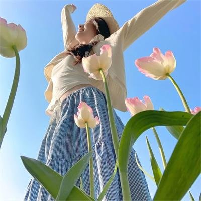 曲中情未了