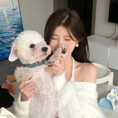 说得好，小猫咪！