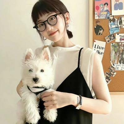 难波金融传·南之帝王